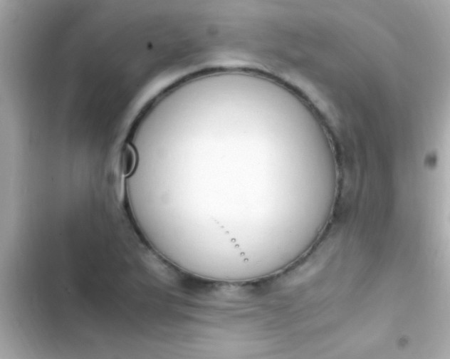 X0000103331175200809192157