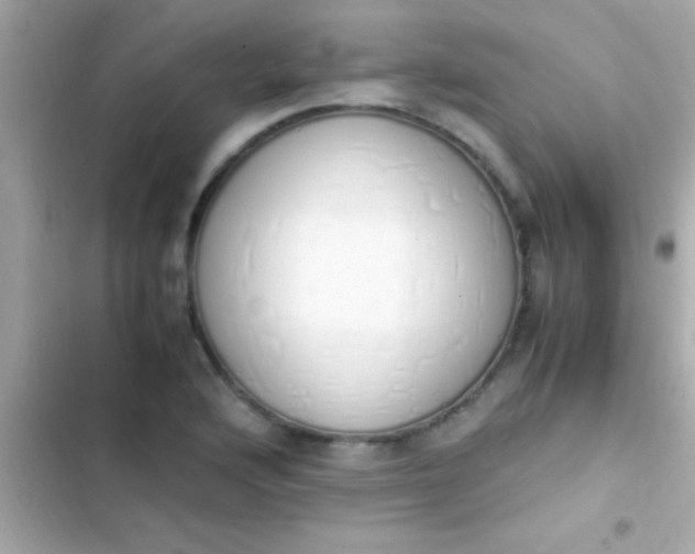 X0000103331176200809192157