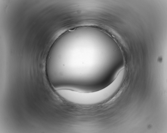 X0000103331177200809192157