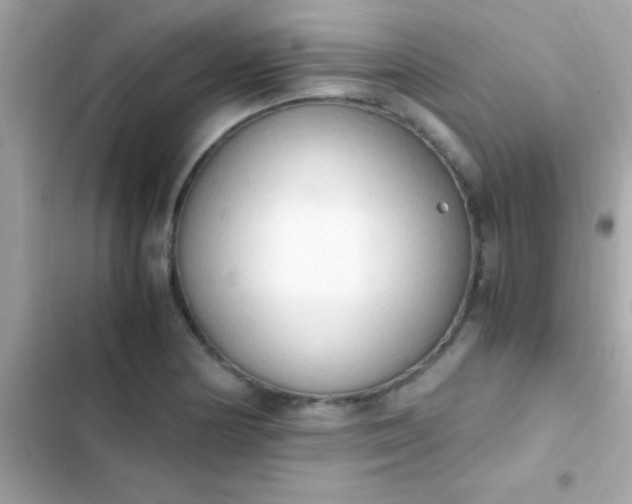 X0000103331178200809192157