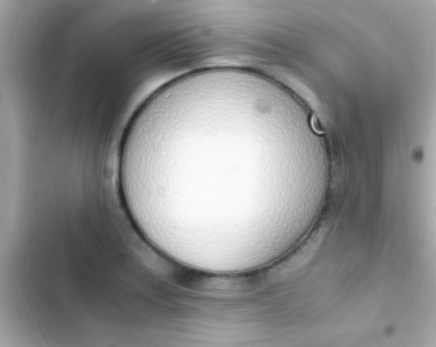 X0000103331179200809192157