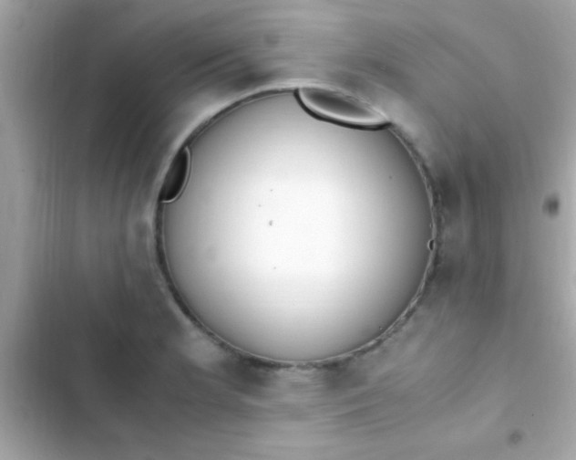 X0000103331181200809192157