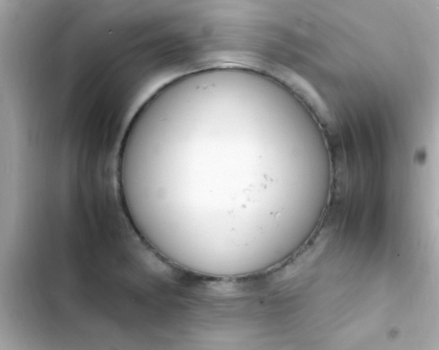 X0000103331182200809192157