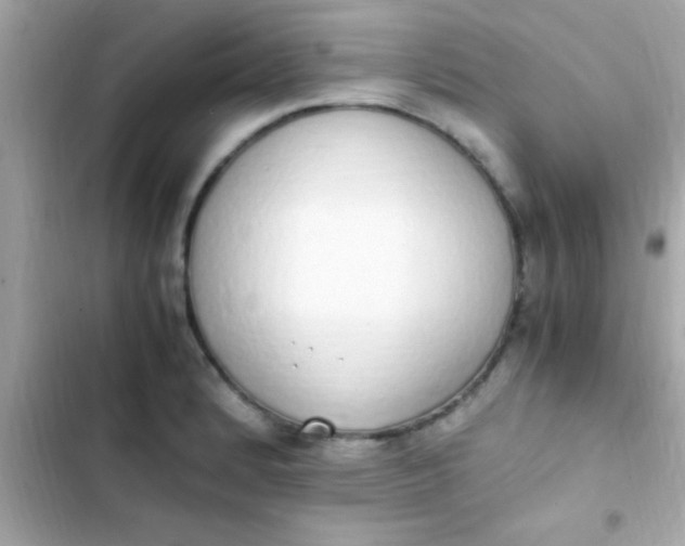 X0000103331184200809192157