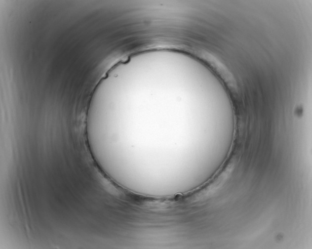 X0000103331185200809192157