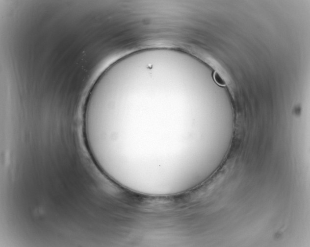 X0000103331187200809192157