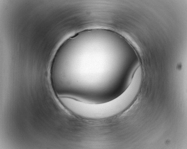 X0000103331189200809192157