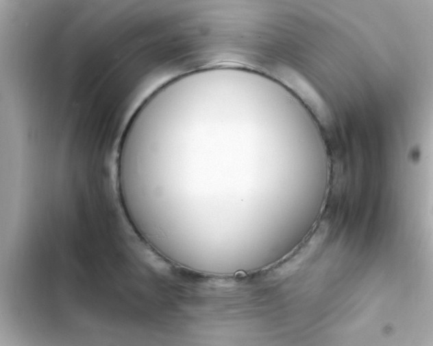 X0000103331190200809192157