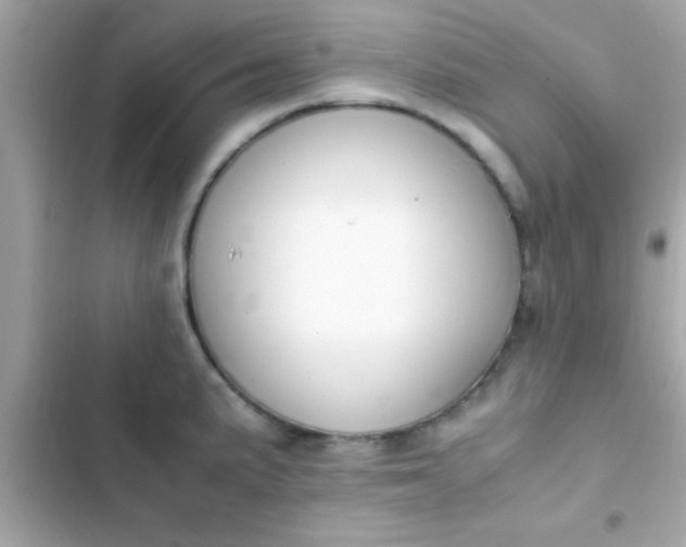 X0000103331191200809192157