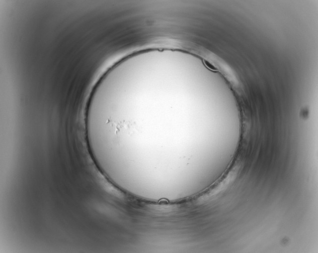 X0000103331192200809192157