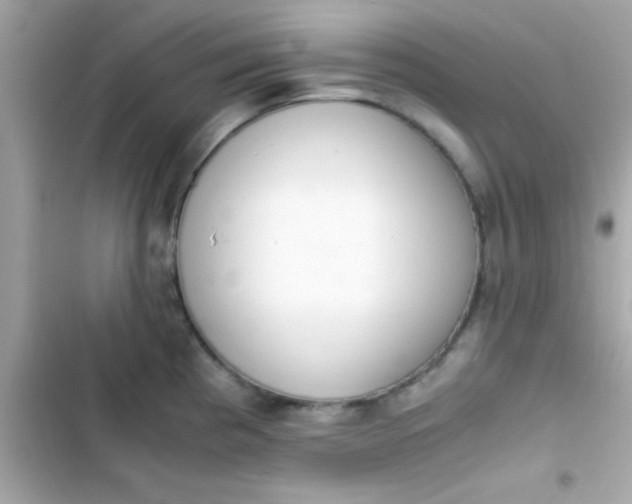 X0000103331193200809192157