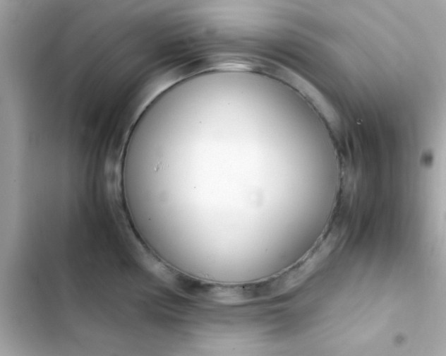 X0000103331194200809192157