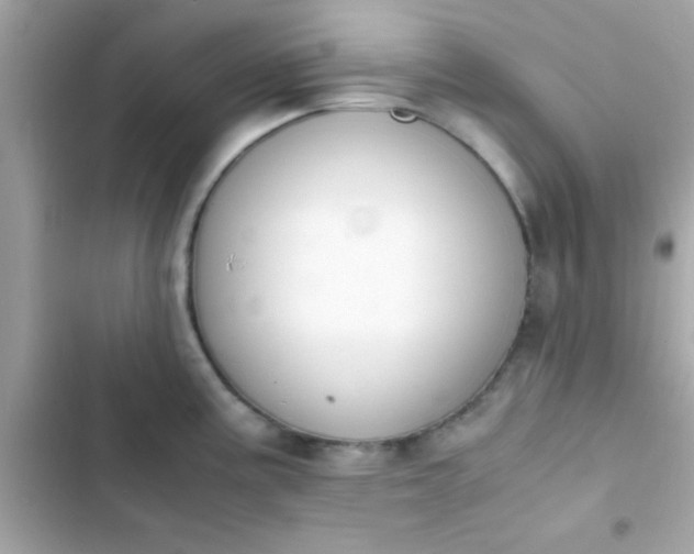 X0000103331195200809192157