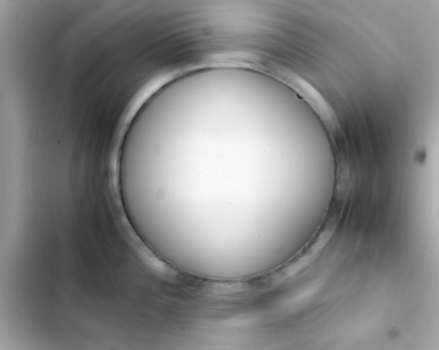 X0000103331196200809192157