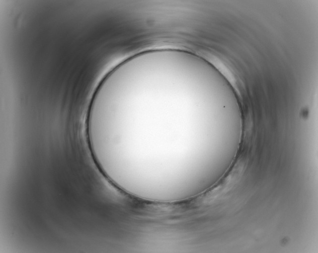 X0000103331197200809192157