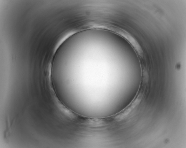 X0000103331198200809192157