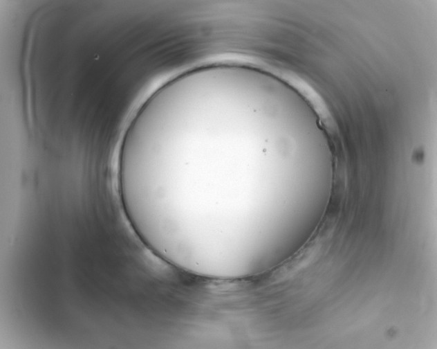 X0000103331199200809192157