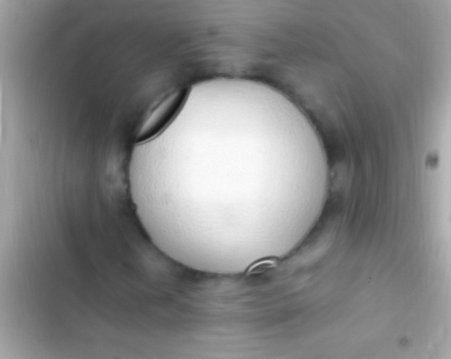 X0000103331202200809192156