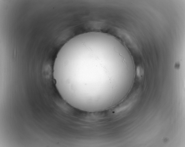 X0000103331203200809192156