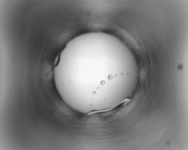 X0000103331204200809192156