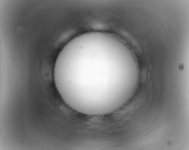 X0000103331205200809192156