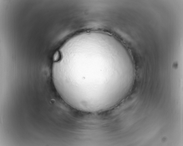 X0000103331206200809192156