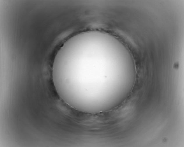 X0000103331207200809192156