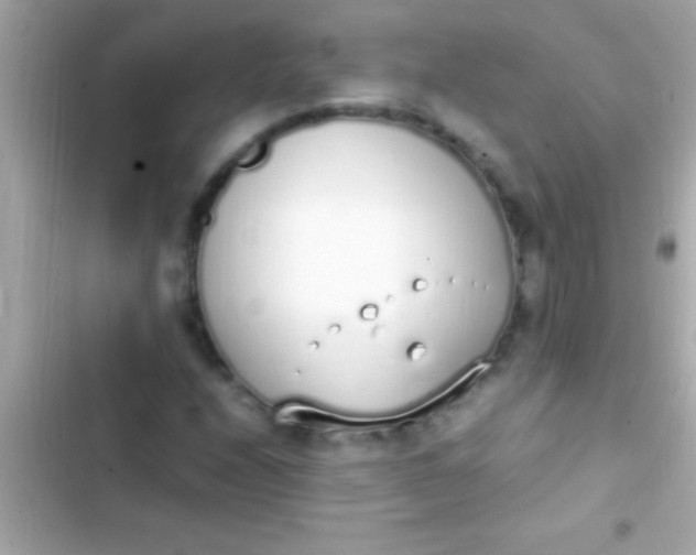 X0000103331208200809192156