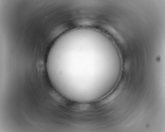 X0000103331209200809192156