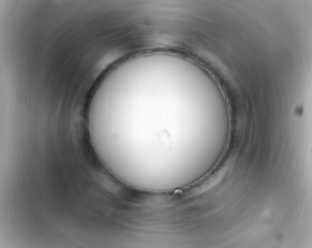 X0000103331210200809192156