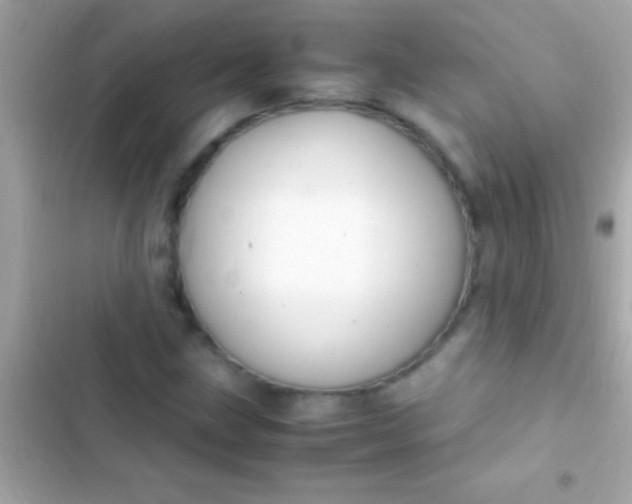 X0000103331211200809192156