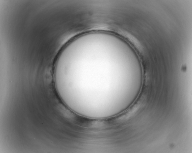 X0000103331212200809192156