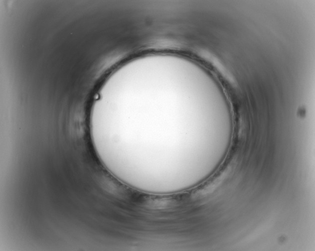 X0000103331213200809192156