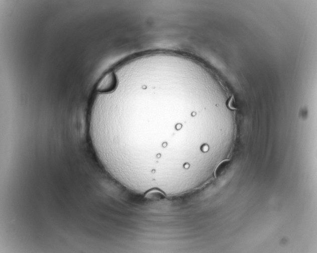 X0000103331214200809192156