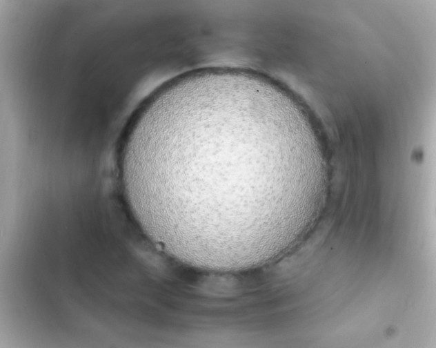 X0000103331215200809192156