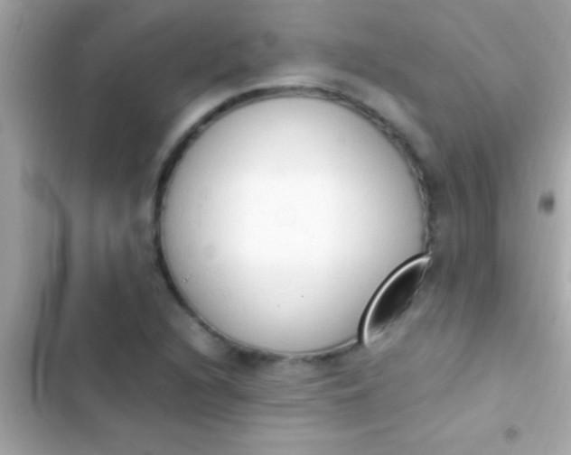 X0000103331216200809192156