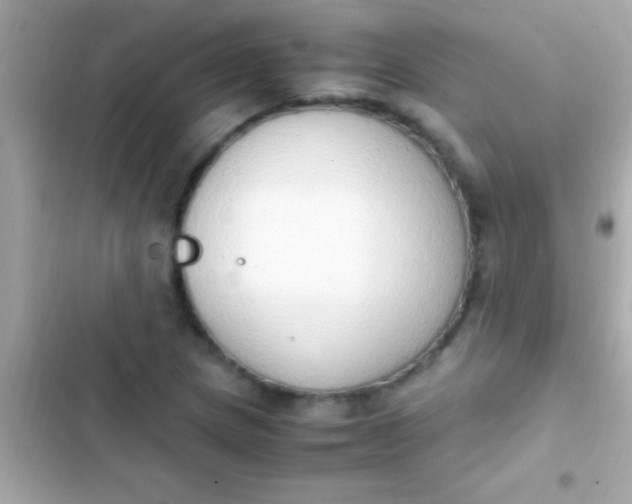 X0000103331217200809192156