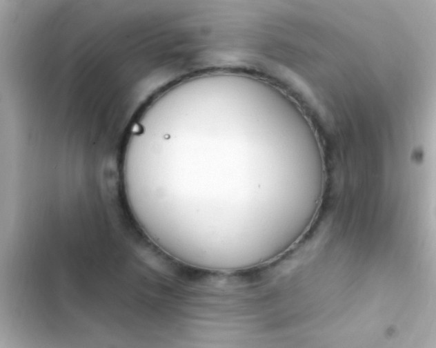 X0000103331218200809192156