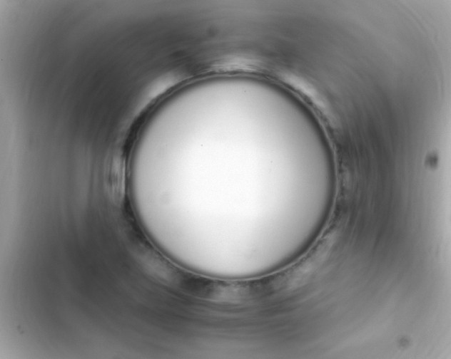 X0000103331219200809192156