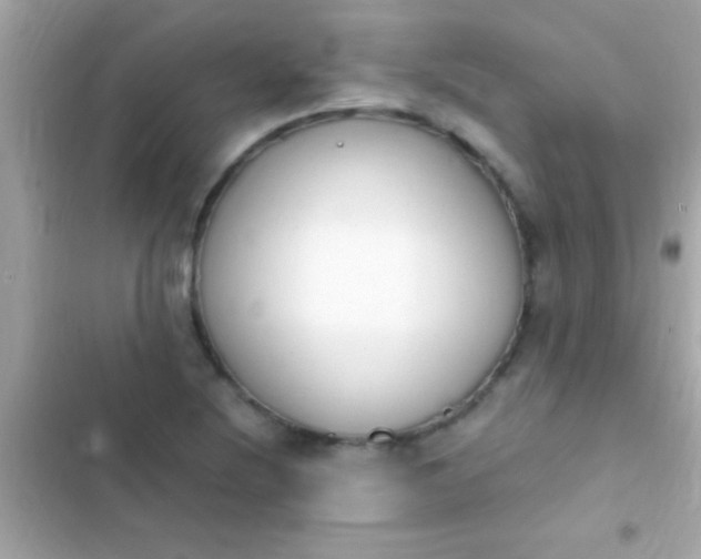 X0000103331220200809192156