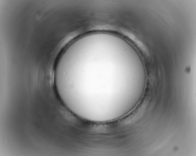 X0000103331221200809192156