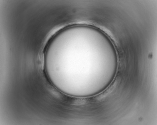 X0000103331223200809192156