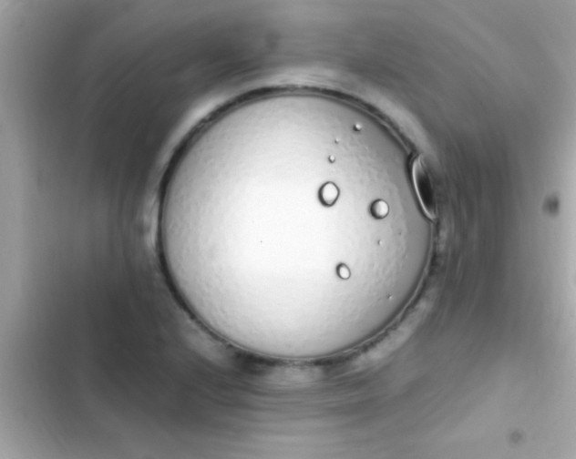 X0000103331224200809192156