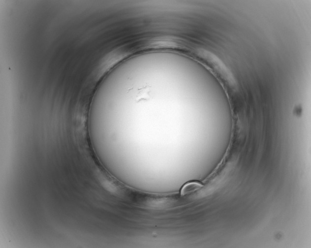 X0000103331225200809192156