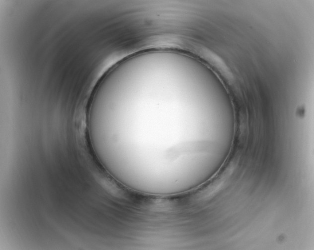 X0000103331226200809192156