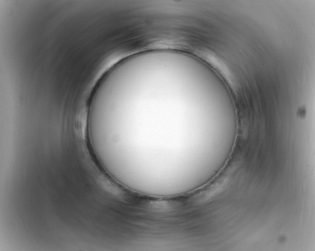 X0000103331227200809192156