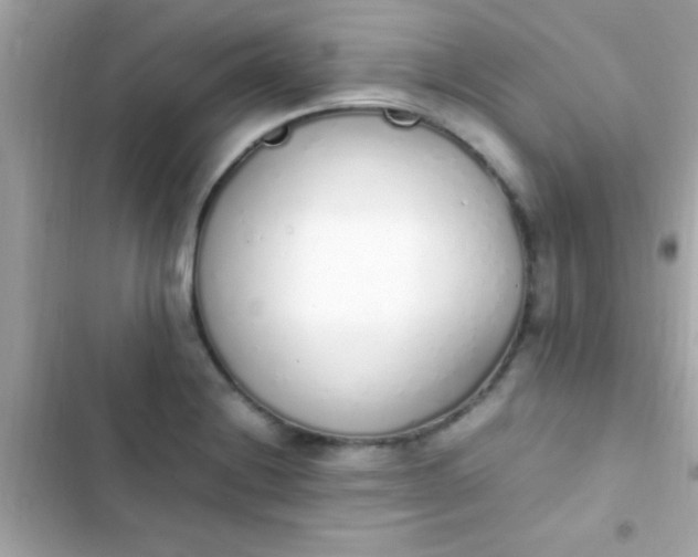 X0000103331228200809192156