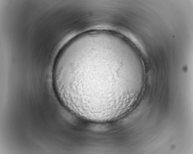 X0000103331229200809192156