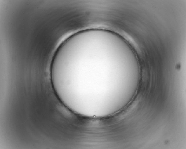 X0000103331230200809192156