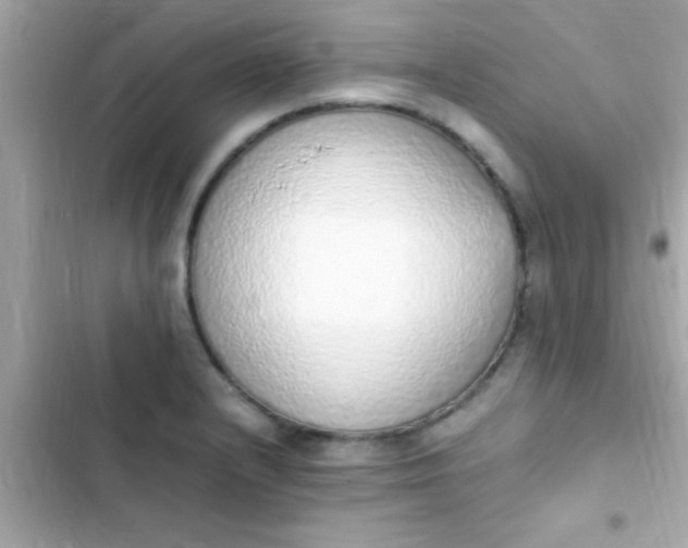 X0000103331232200809192157